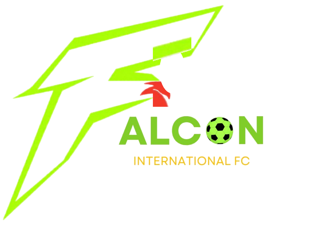 Falcon International FC